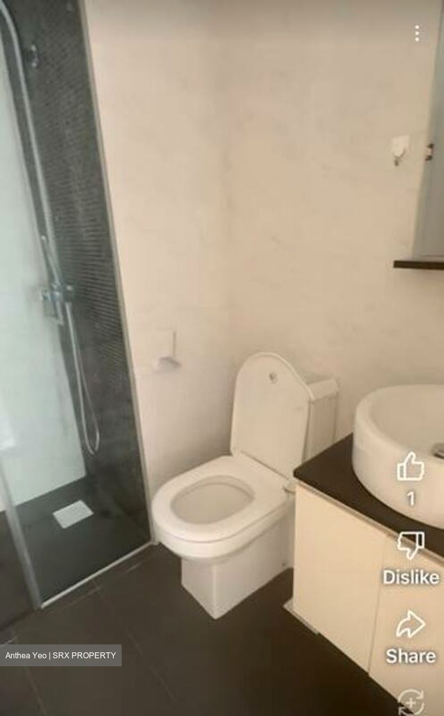 Loft @ Holland (D10), Apartment #503685101